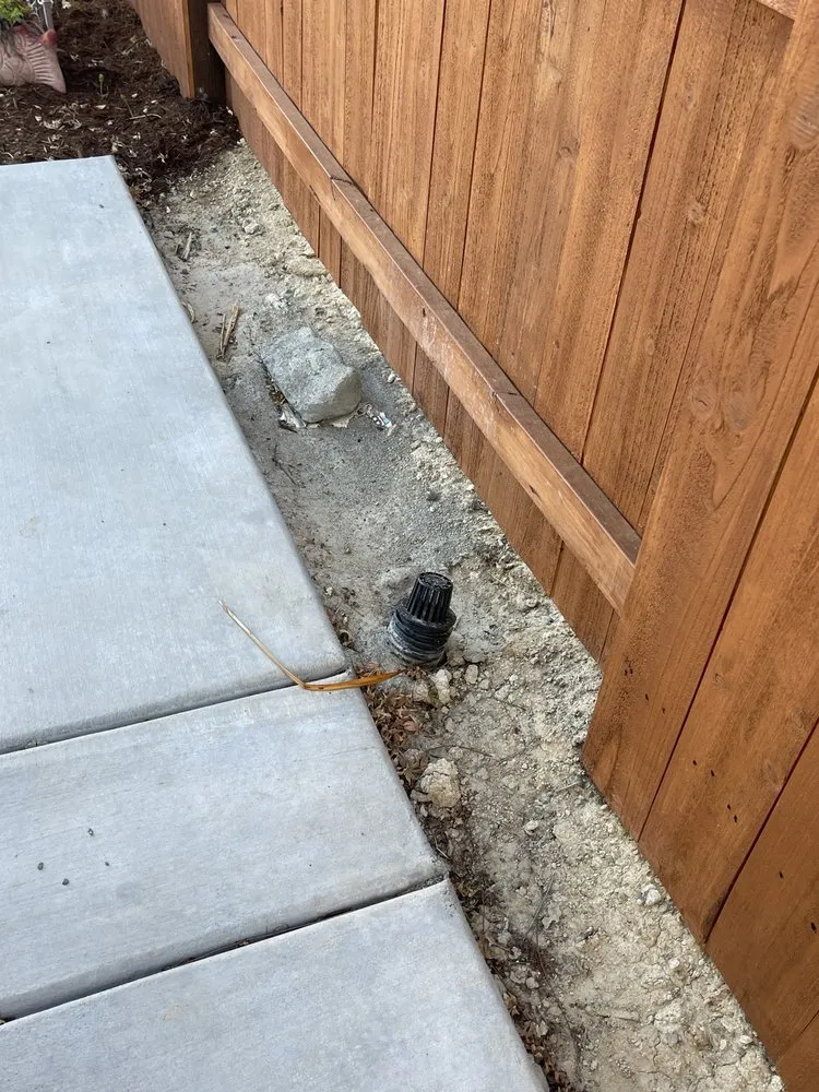 Expert lawn care service for year-round maintenance in Sacramento, CA by MLC Landscape