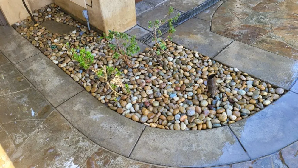 Top-rated landscape installation in Costa Mesa, CA by MLC Landscaping