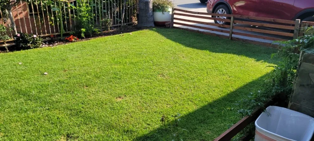 Reliable landscape installation in Costa Mesa, CA by MLC Landscaping