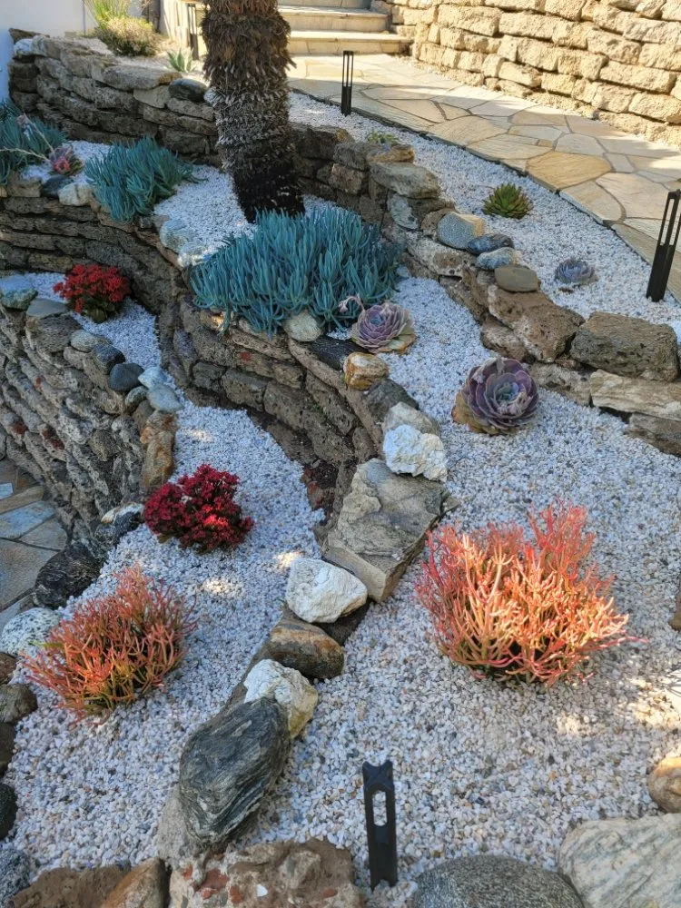 Top-rated landscape design for beautiful yards across Costa Mesa, CA - MLC Landscaping