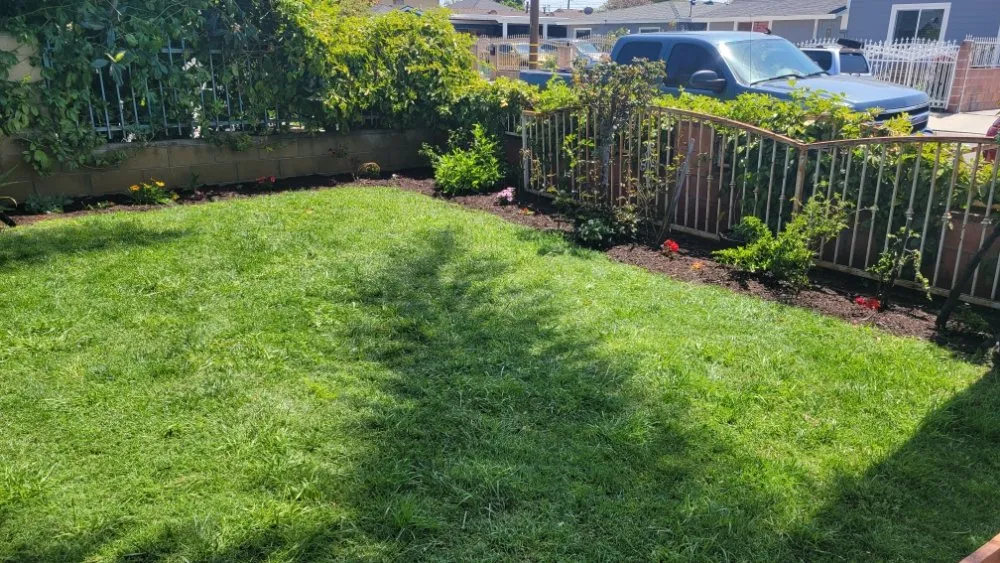 Custom outdoor landscaping in Costa Mesa, CA by MLC Landscaping