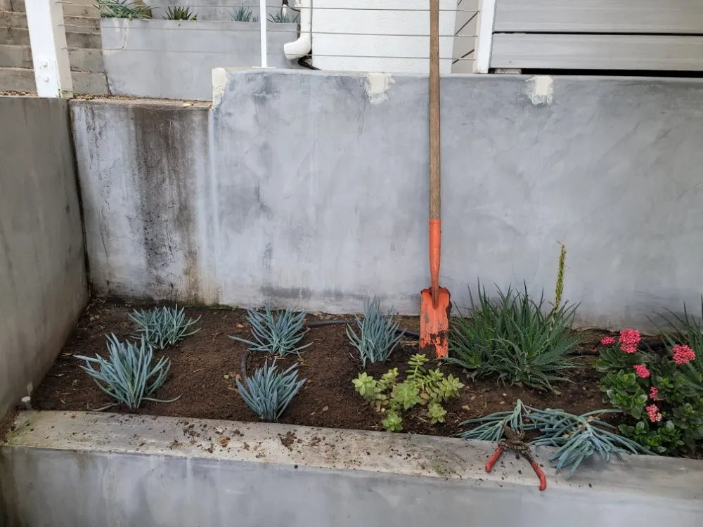 Top-rated outdoor landscaping experts serving Costa Mesa, CA - MLC Landscaping