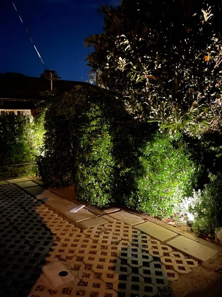 Top-rated landscaping services for residential properties across Costa Mesa, CA - MLC Landscaping