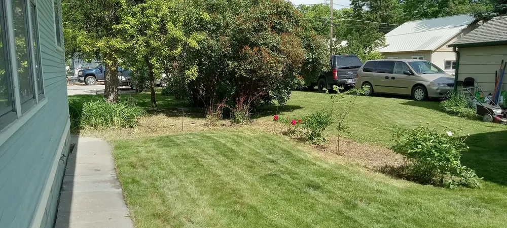 Local yard maintenance experts serving Rathdrum, ID - MLC Lawn & Tree