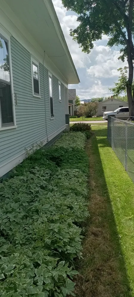 Reliable outdoor landscaping for year-round maintenance across Rathdrum, ID - MLC Lawn & Tree