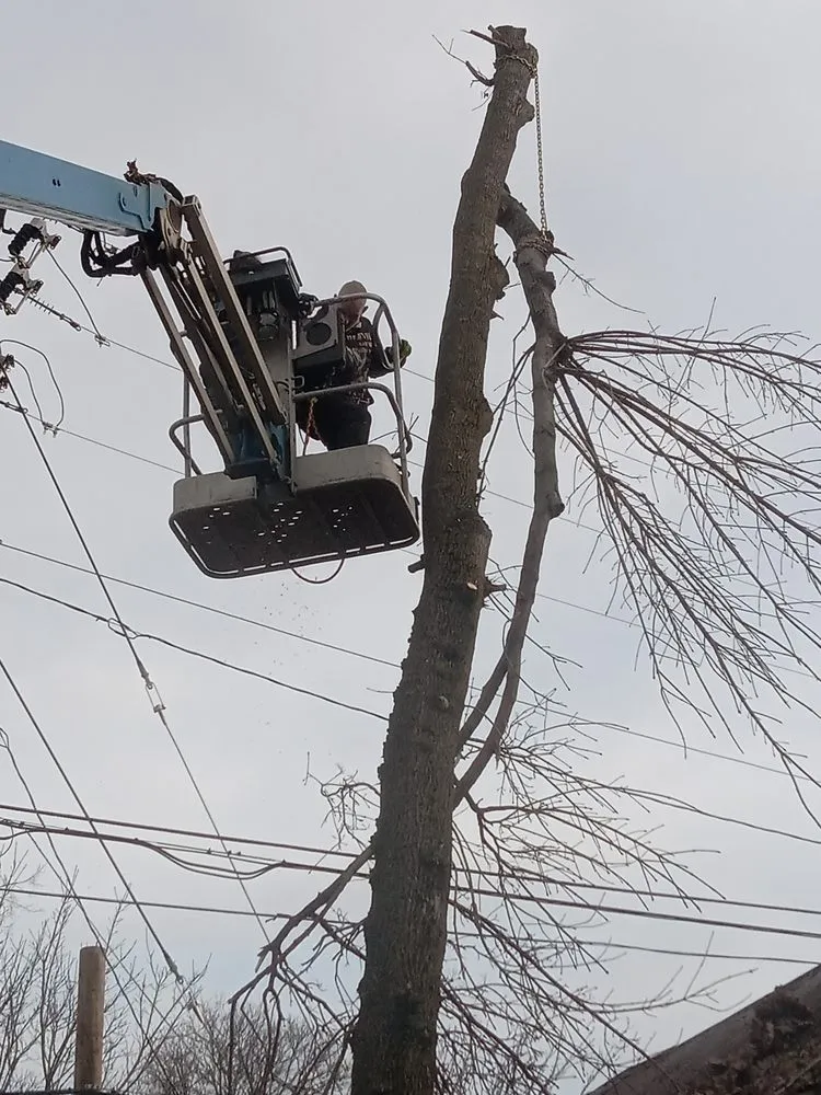 Reliable lawn mowing service experts serving Rathdrum, ID - MLC Lawn & Tree