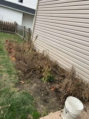 Mlc Lawncare & Landscaping Logo