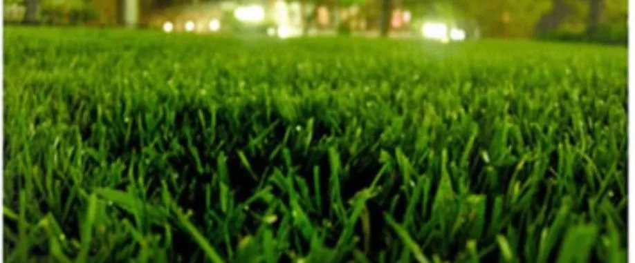 Trusted yard maintenance in Waldorf, MD - MLCS Lawn Care