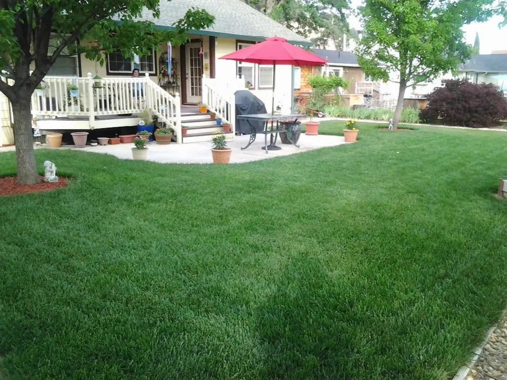 Professional landscaping services in Upper Lake, CA - MLG Ipm Services