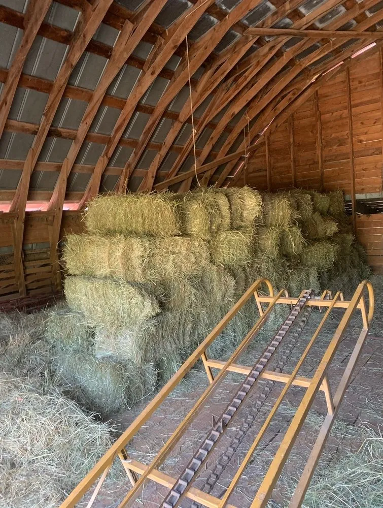 Expert landscaping services in Fairview, NC by MLN Landscaping