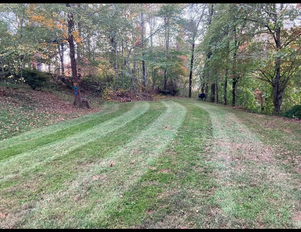 Reliable landscape design for year-round maintenance in Fairview, NC by MLN Landscaping