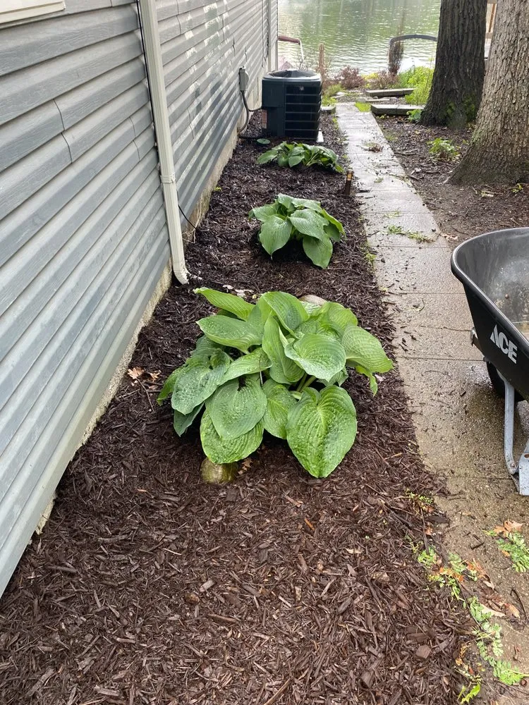 Expert lawn care service in Syracuse, IN - MLO Remolding and Landscaping