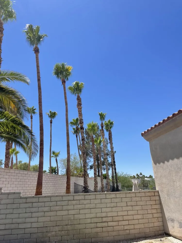 Local landscape design for outdoor upgrades in Las Vegas, NV by MLR Landscaping & Maintance