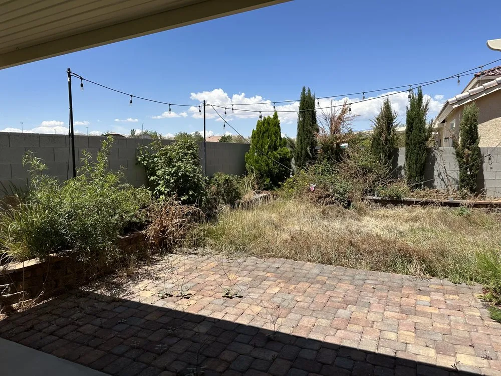 Professional yard cleanup service in Las Vegas, NV by MLR Landscaping & Maintance