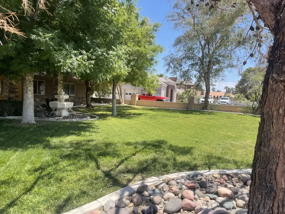 Reliable landscaping services experts serving Las Vegas, NV - MLR Landscaping & Maintance