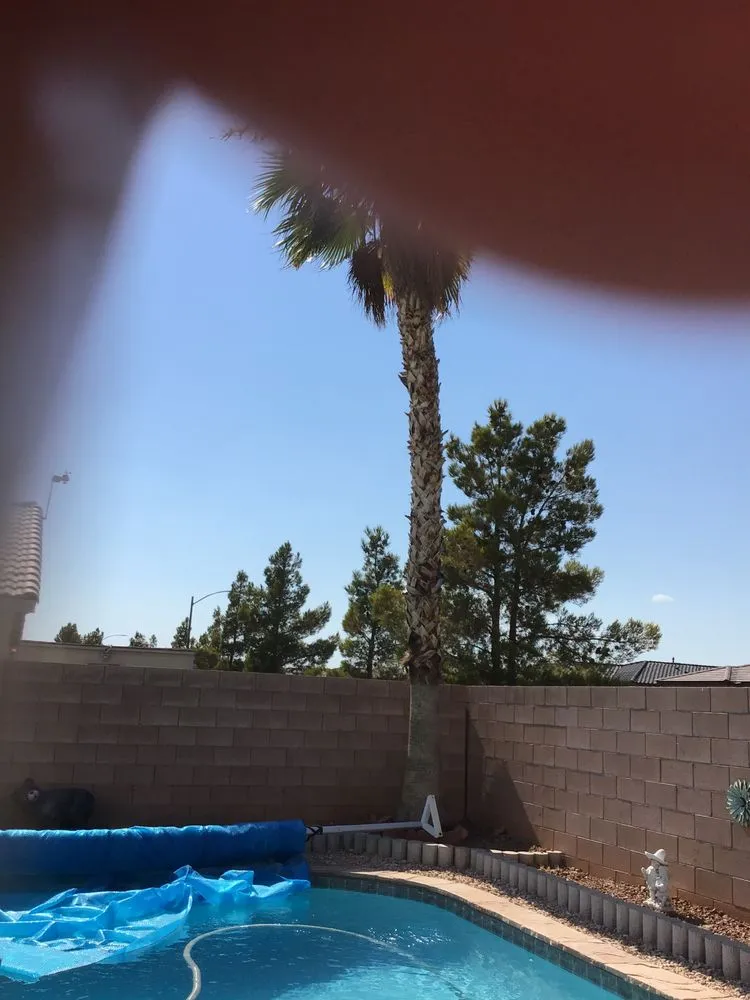 Professional landscape design experts serving Las Vegas, NV - MLR Landscaping & Maintance