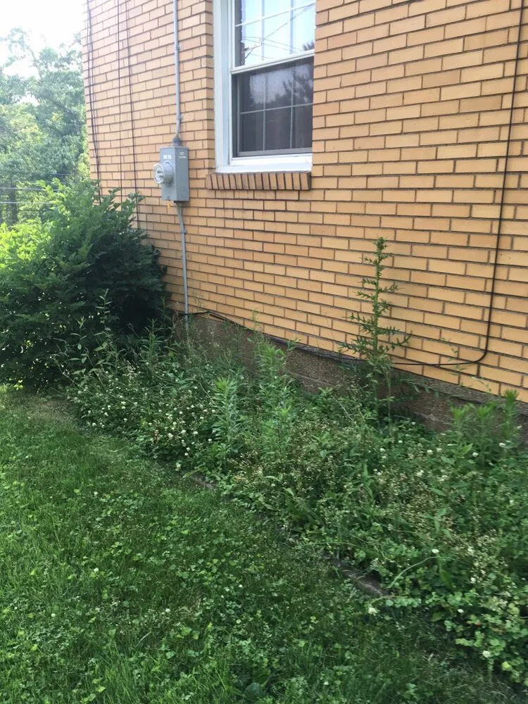 Expert residential landscaping in Pittsburgh, PA - MLS Landscape and Design - Pittsburgh