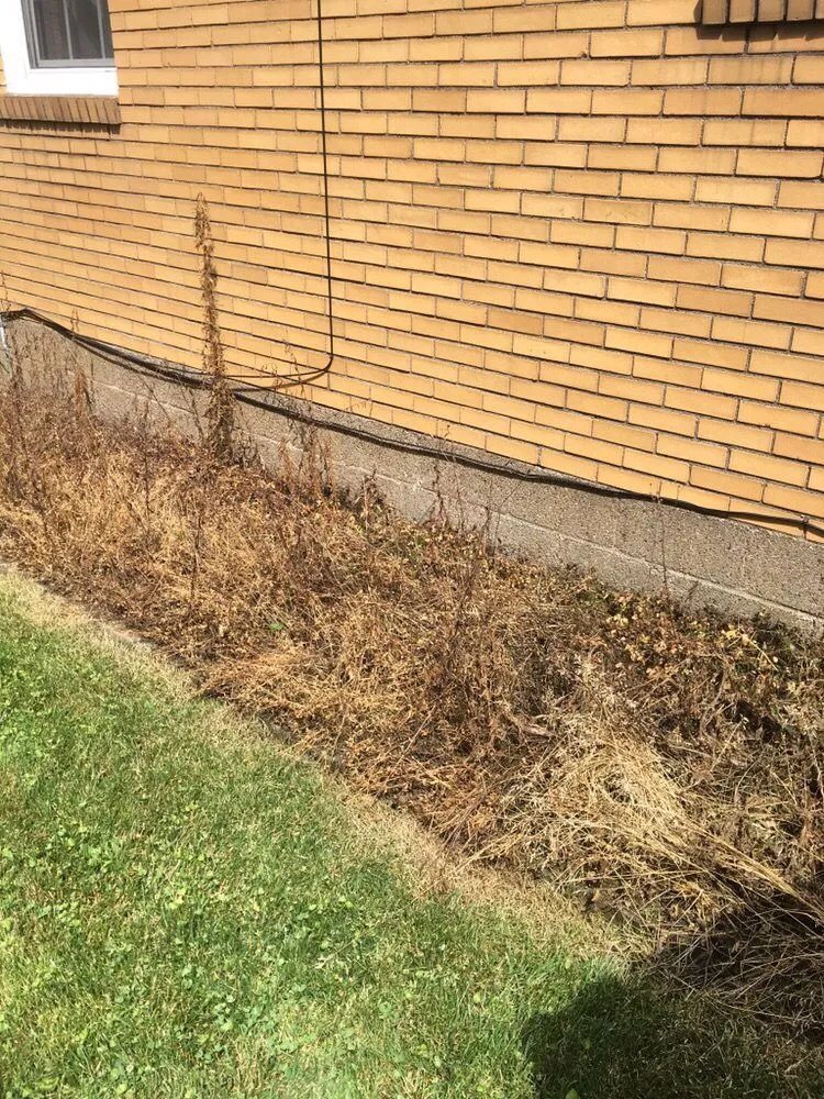 Expert landscaping services in Pittsburgh, PA by MLS Landscape and Design - Pittsburgh