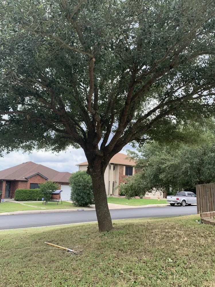 Affordable landscape design for homes across San Antonio, TX - MLS Landscaping Services