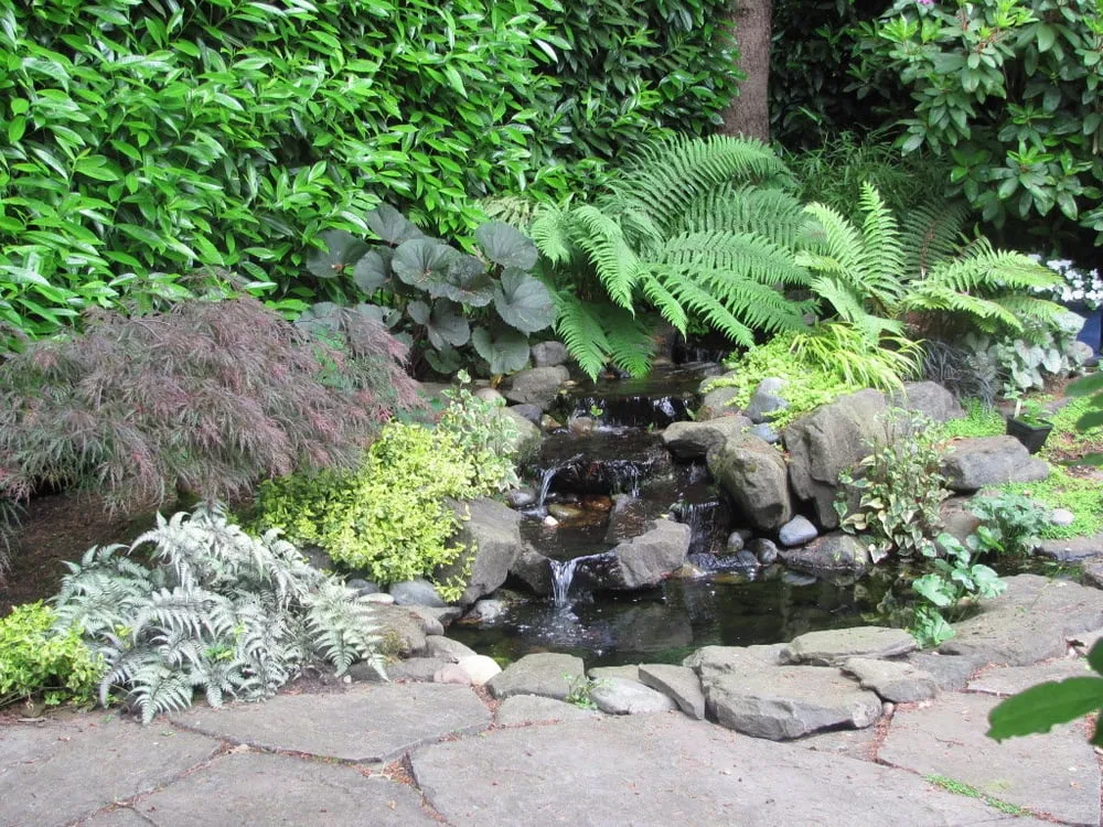 Reliable landscape design in Port Orchard, WA by MLs Lawn Service