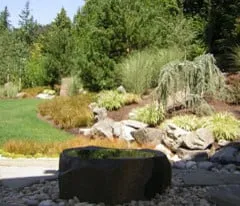 Affordable yard cleanup service in Port Orchard, WA by MLs Lawn Service