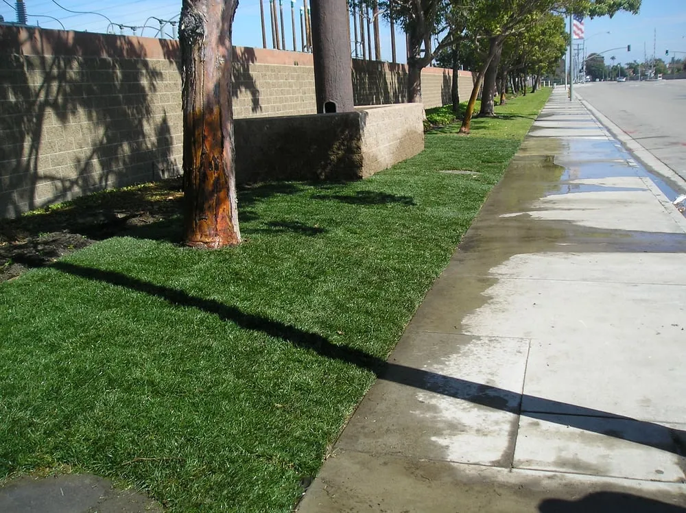 Reliable landscape design in Port Orchard, WA by MLs Lawn Service