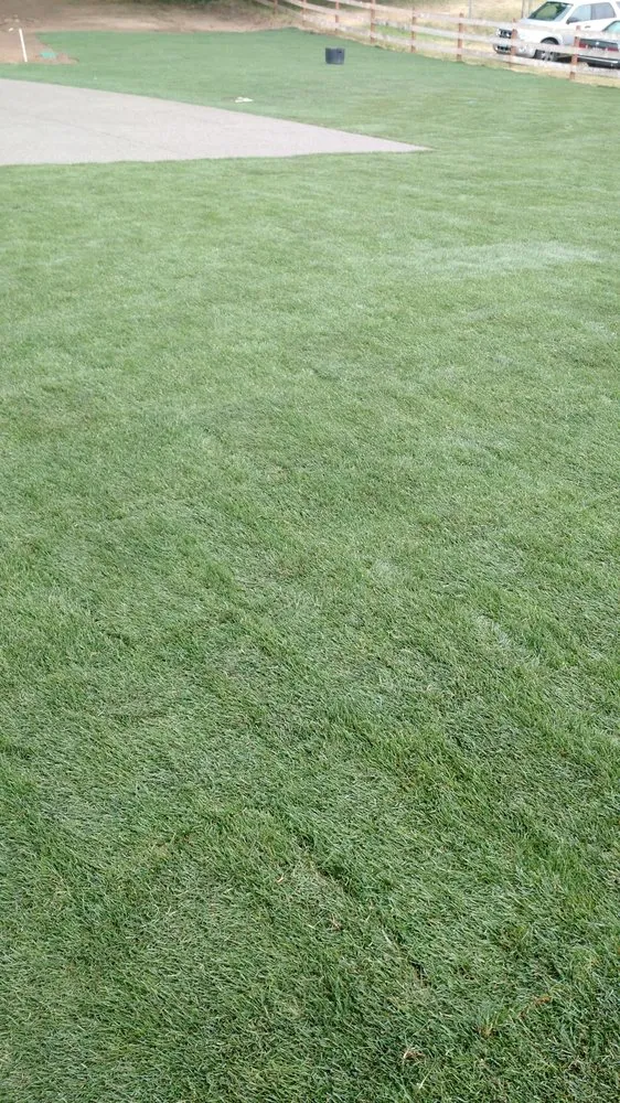 Custom landscape design in Port Orchard, WA by MLs Lawn Service