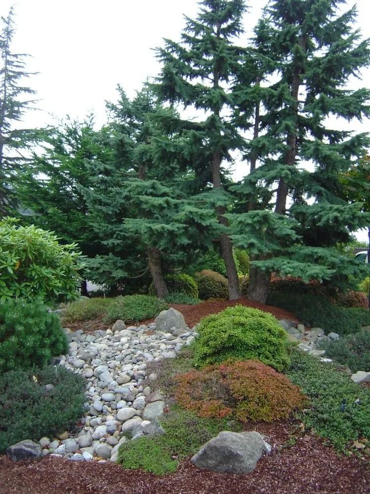 Affordable outdoor landscaping for year-round maintenance in Port Orchard, WA by MLs Lawn Service