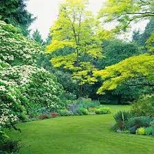 Local garden landscaping experts serving Port Orchard, WA - MLs Lawn Service