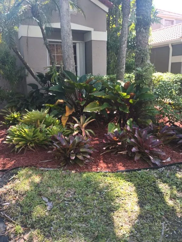 Top-rated lawn mowing service for outdoor upgrades in Lauderhill, FL by MLS Outdoors