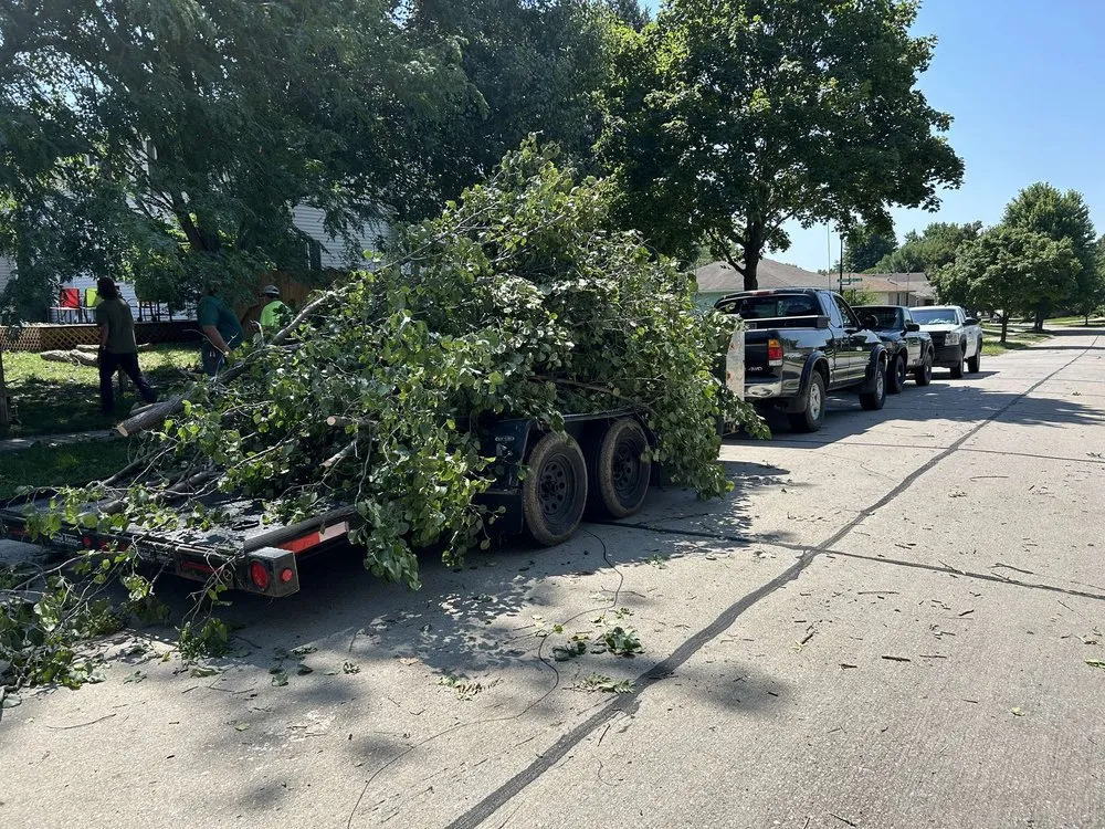 Custom yard cleanup service in Lincoln, NE by MLS Removals