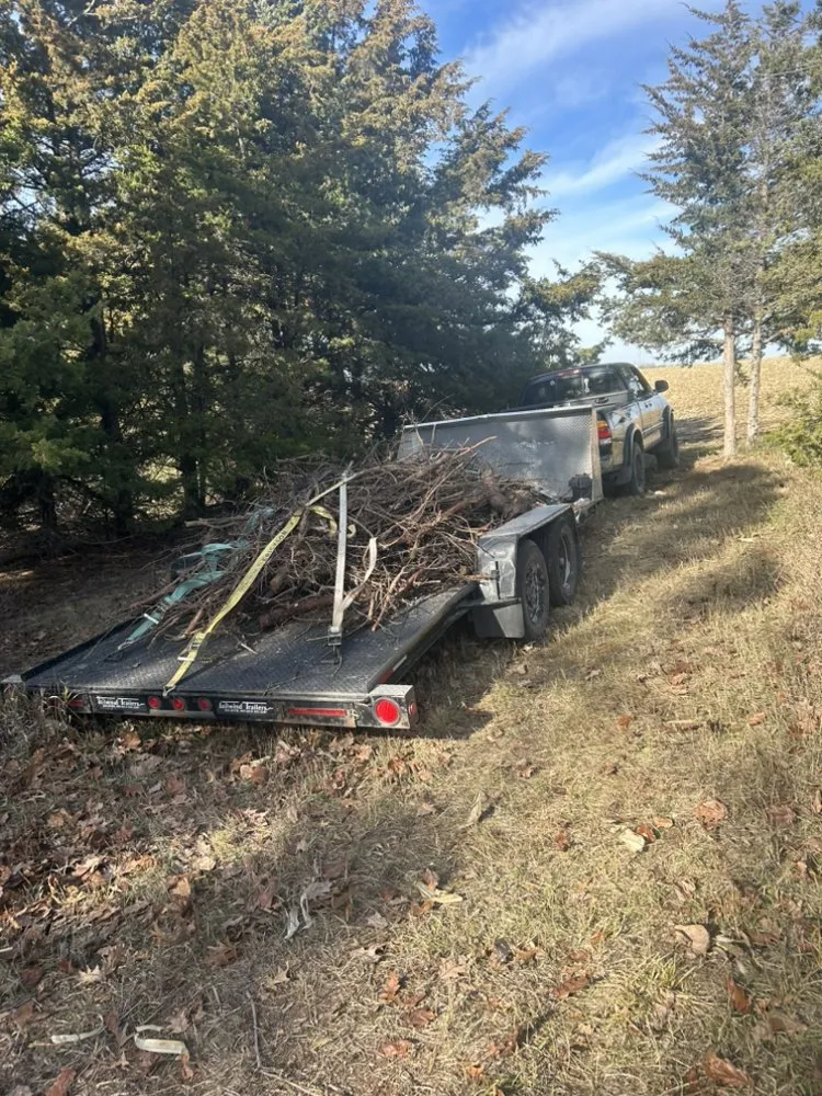 Local yard maintenance in Lincoln, NE by MLS Removals