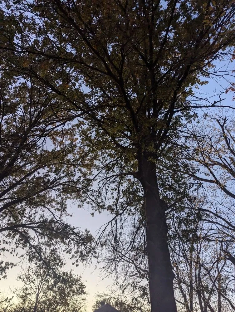 Local landscaping services for beautiful yards across Lincoln, NE - MLS Removals