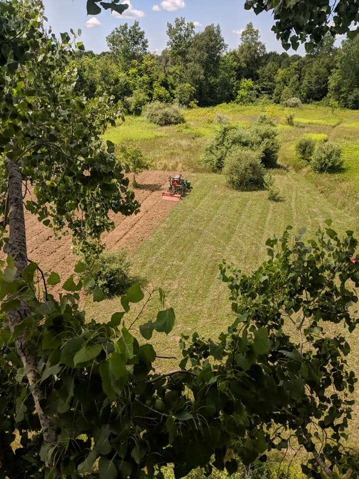 Professional landscape installation in Davison, MI - MLT Outdoor Services