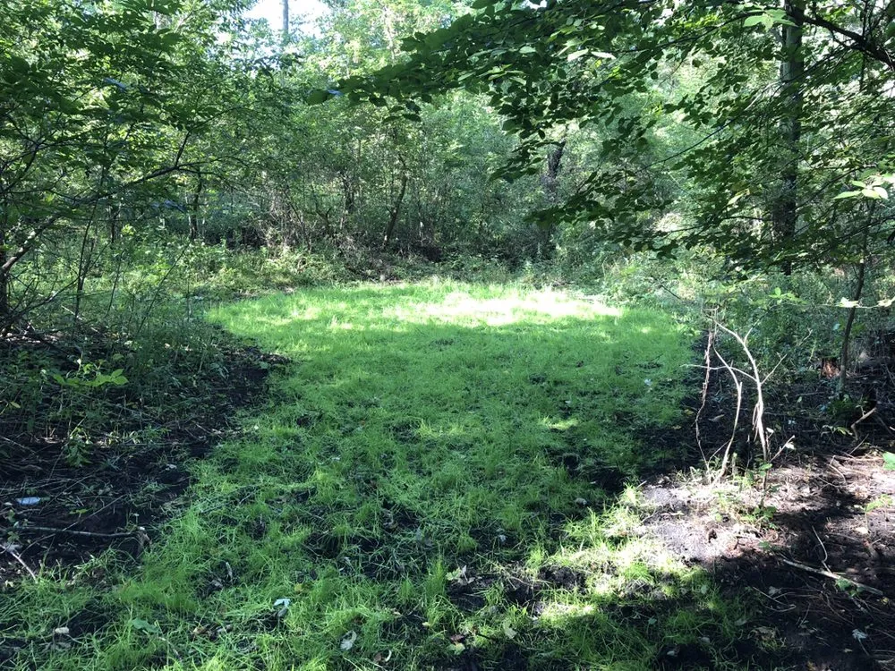 Top-rated yard maintenance for year-round maintenance in Davison, MI by MLT Outdoor Services