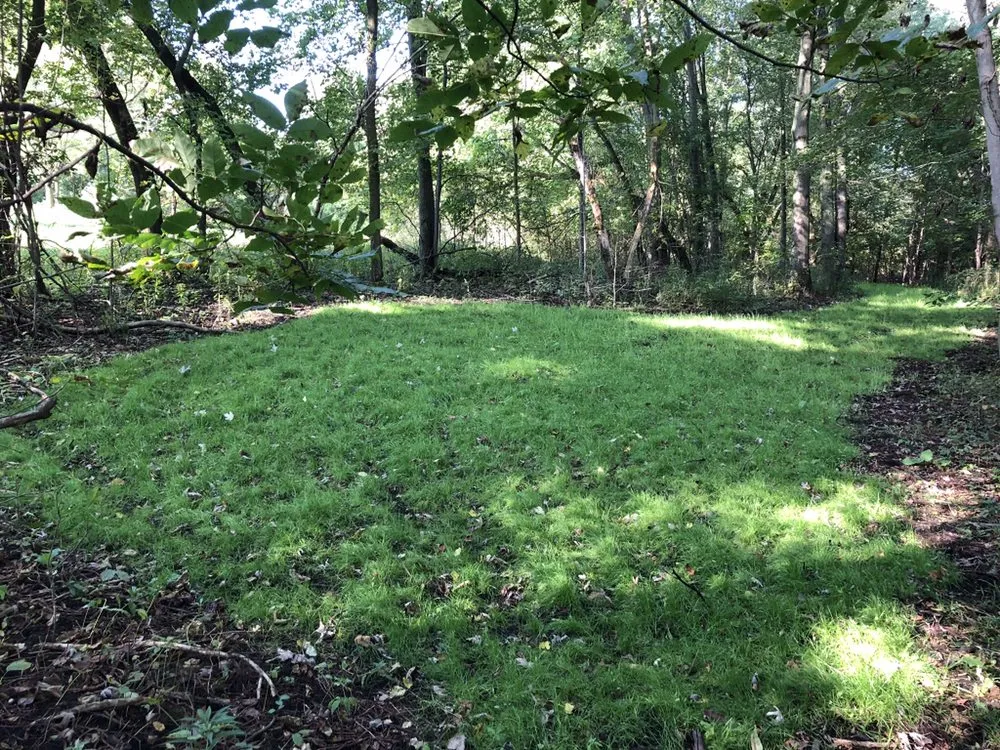 Affordable landscape design in Davison, MI by MLT Outdoor Services