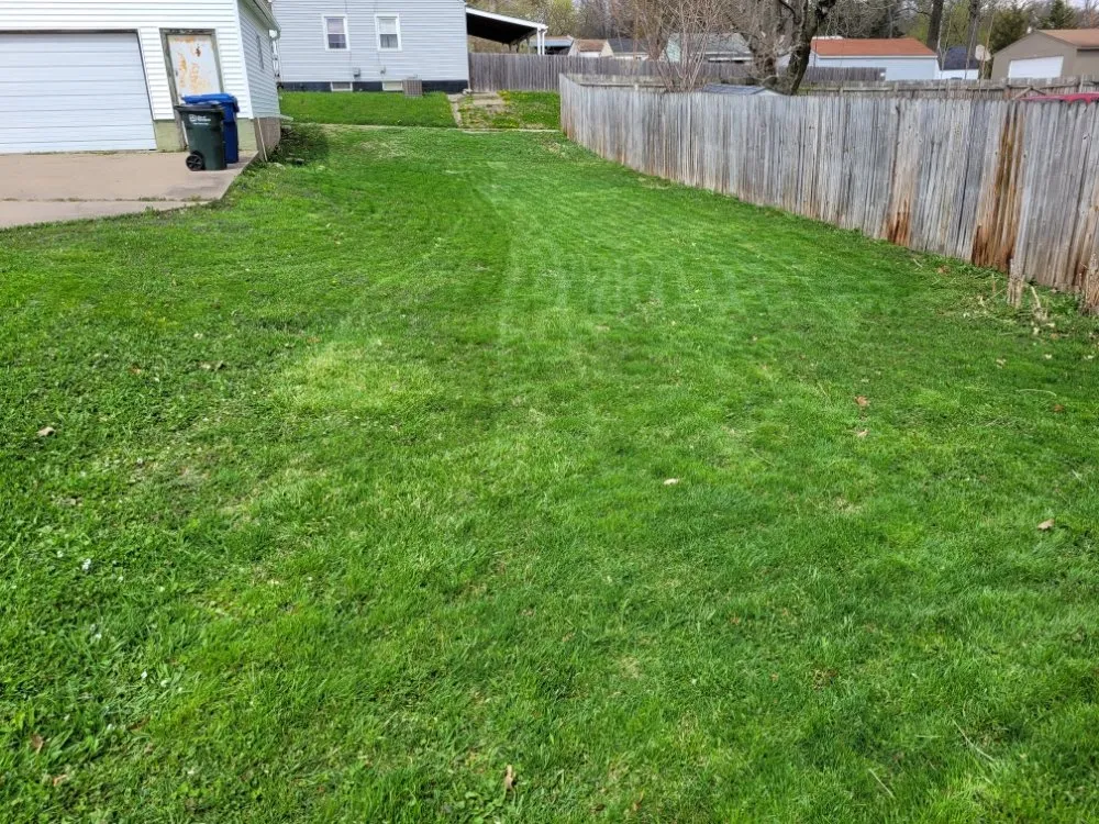 Professional yard cleanup service experts serving Davenport, IA - M&M Bell Bros. Cleaning and Lawncare