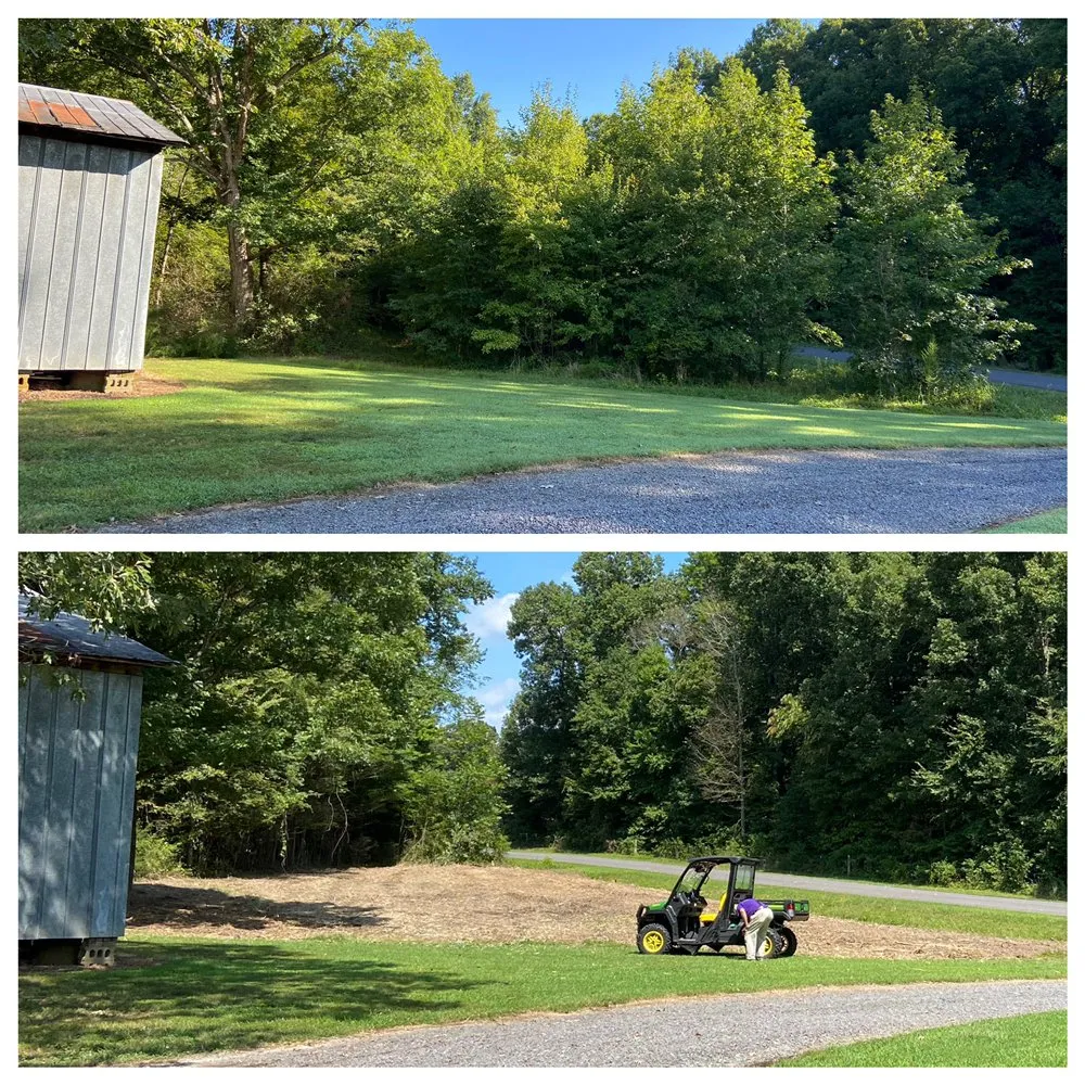 Affordable residential landscaping for homes across Mocksville, NC - M&M Brush Control