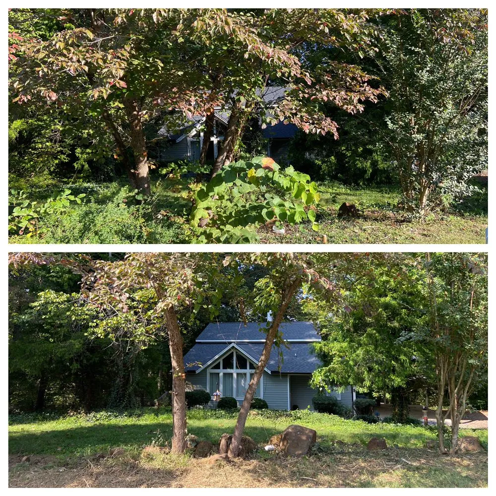 Expert yard maintenance in Mocksville, NC - M&M Brush Control