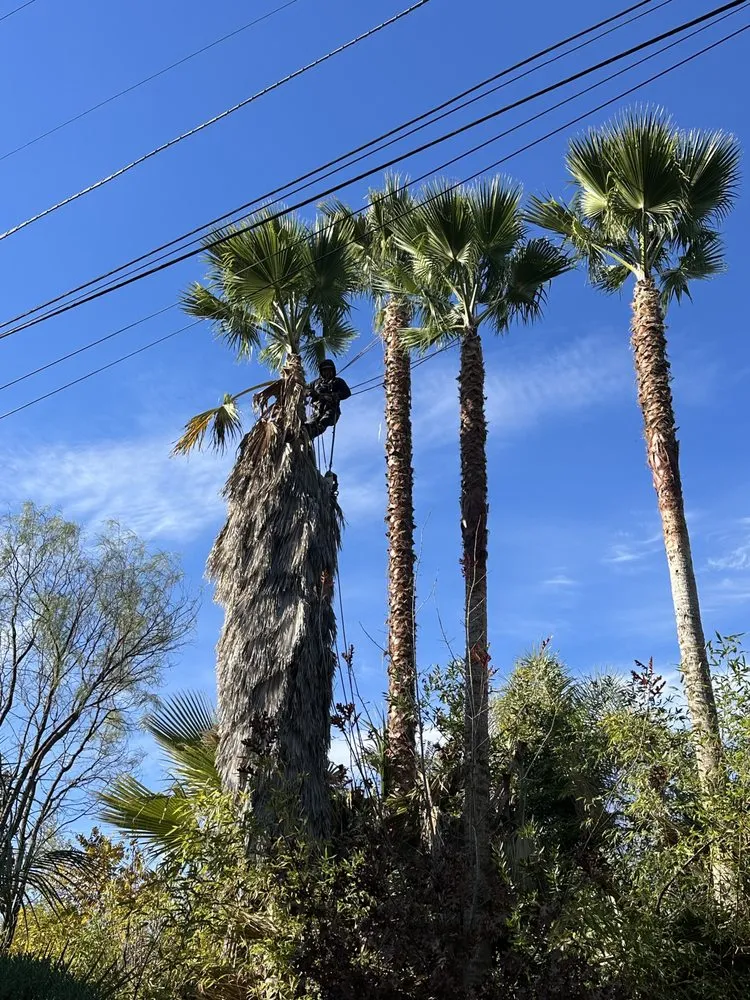 Expert yard maintenance with custom design across Solvang, CA - MM Central Coast Landscaping