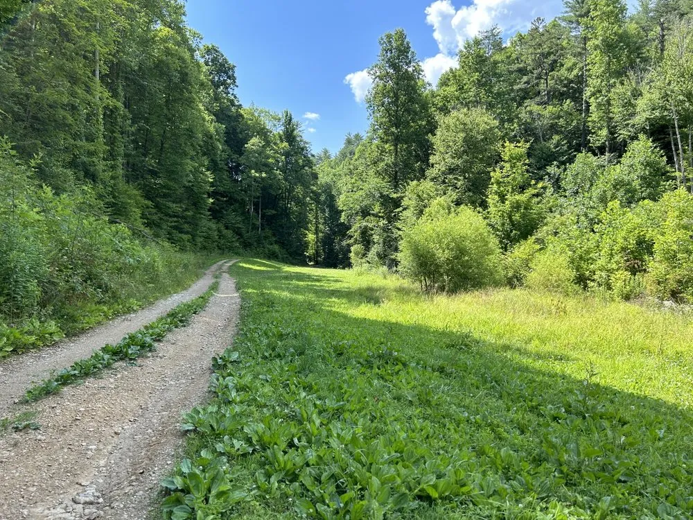 Expert outdoor landscaping experts serving Etowah, TN - M&M Cleaning Services