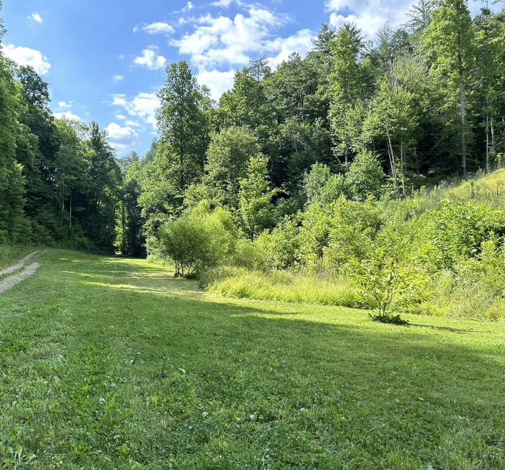 Trusted landscape installation in Etowah, TN by M&M Cleaning Services