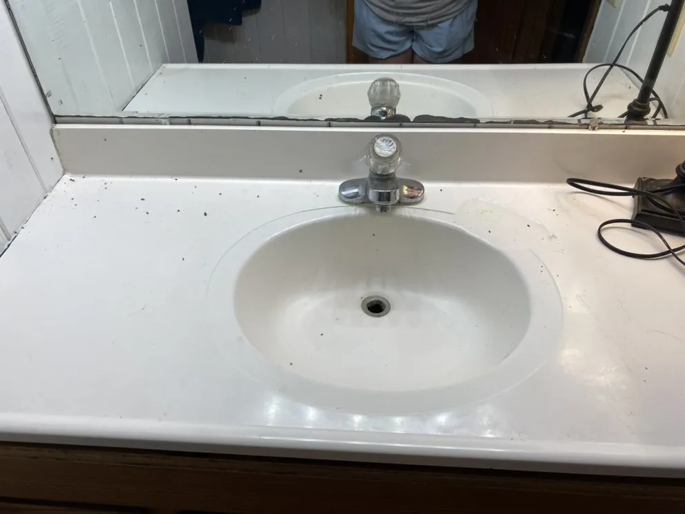 Professional landscaping services for beautiful yards across Etowah, TN - M&M Cleaning Services