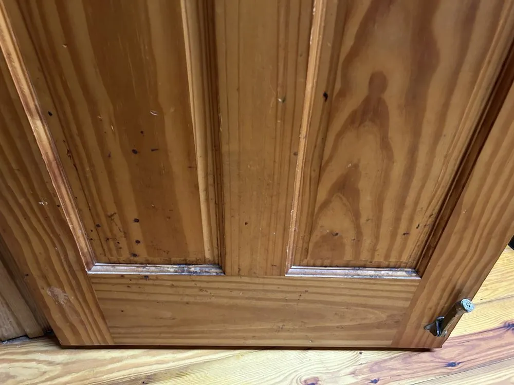 Professional landscaping services in Etowah, TN - M&M Cleaning Services