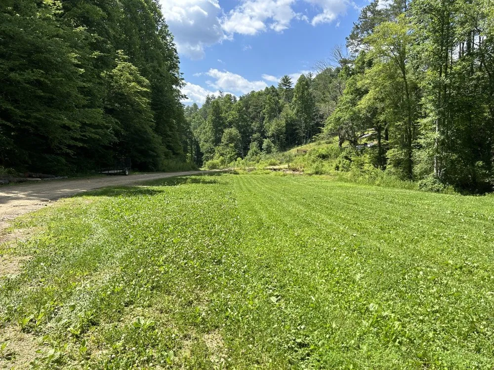 Professional lawn care service in Etowah, TN by M&M Cleaning Services