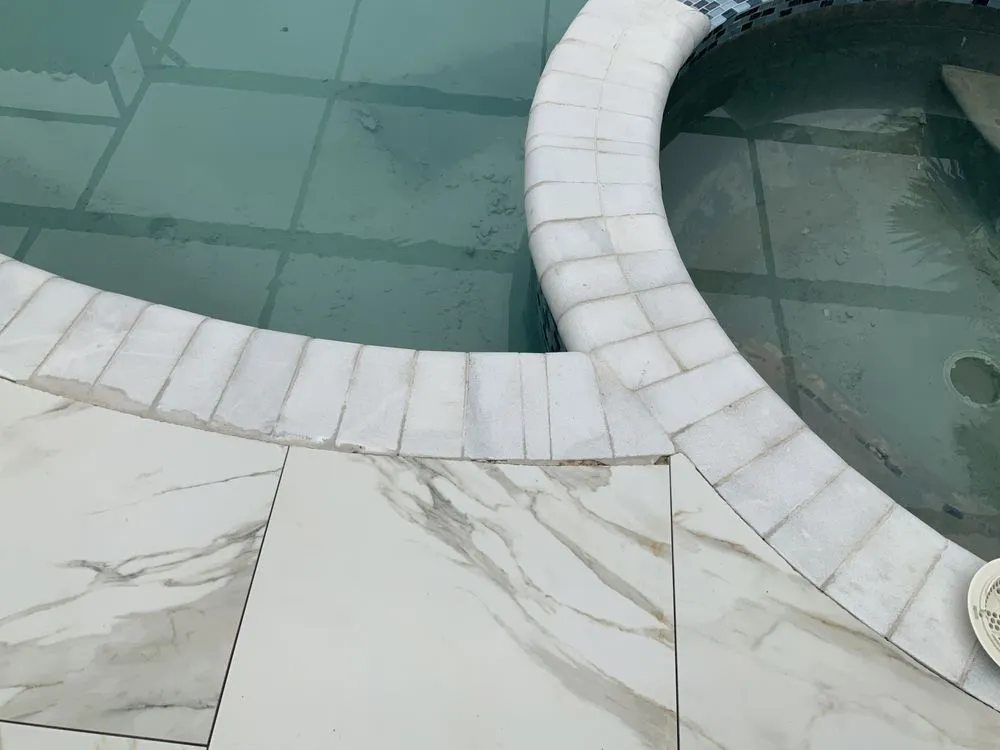 Professional yard cleanup service in Orlando, FL by M&M Construction And Landscape Specialist