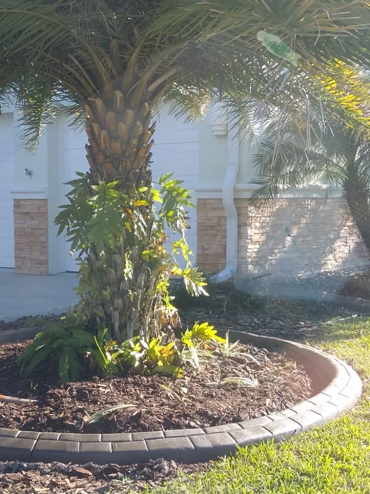 Custom outdoor landscaping for year-round maintenance across Port Orange, FL - M&M Curbing and Landscaping