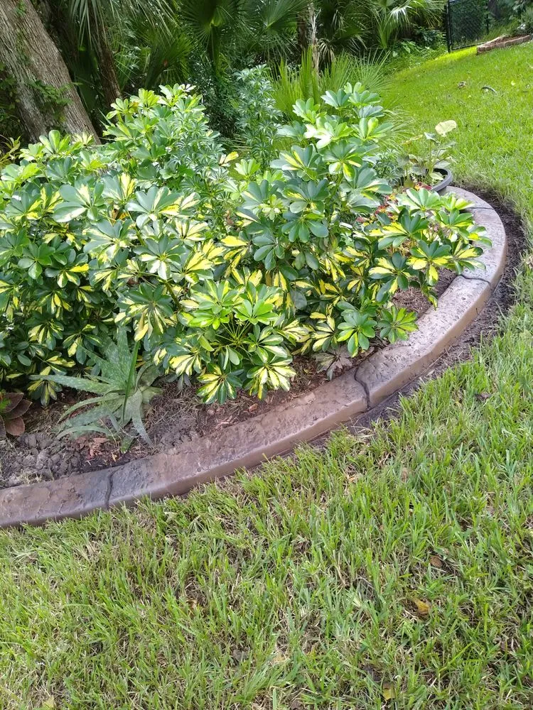 Affordable landscape installation experts serving Port Orange, FL - M&M Curbing and Landscaping