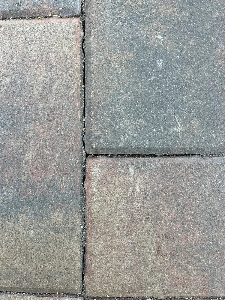 Custom yard cleanup service for residential properties in San Jose, CA by M&M Earth Works