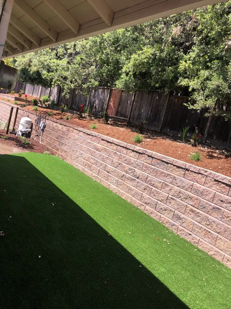 Top-rated yard cleanup service for year-round maintenance across San Jose, CA - M&M Earth Works